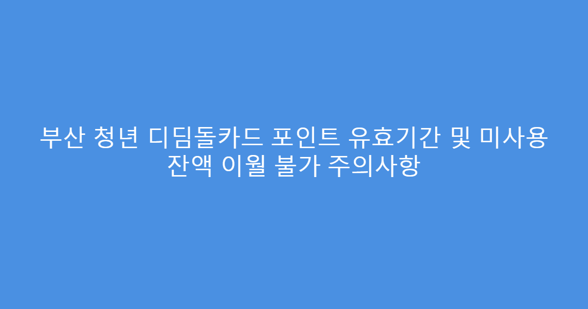 부산 청년 디딤돌카드 포인트 유효기간 및 미사용 잔액 이월 불가 주의사항