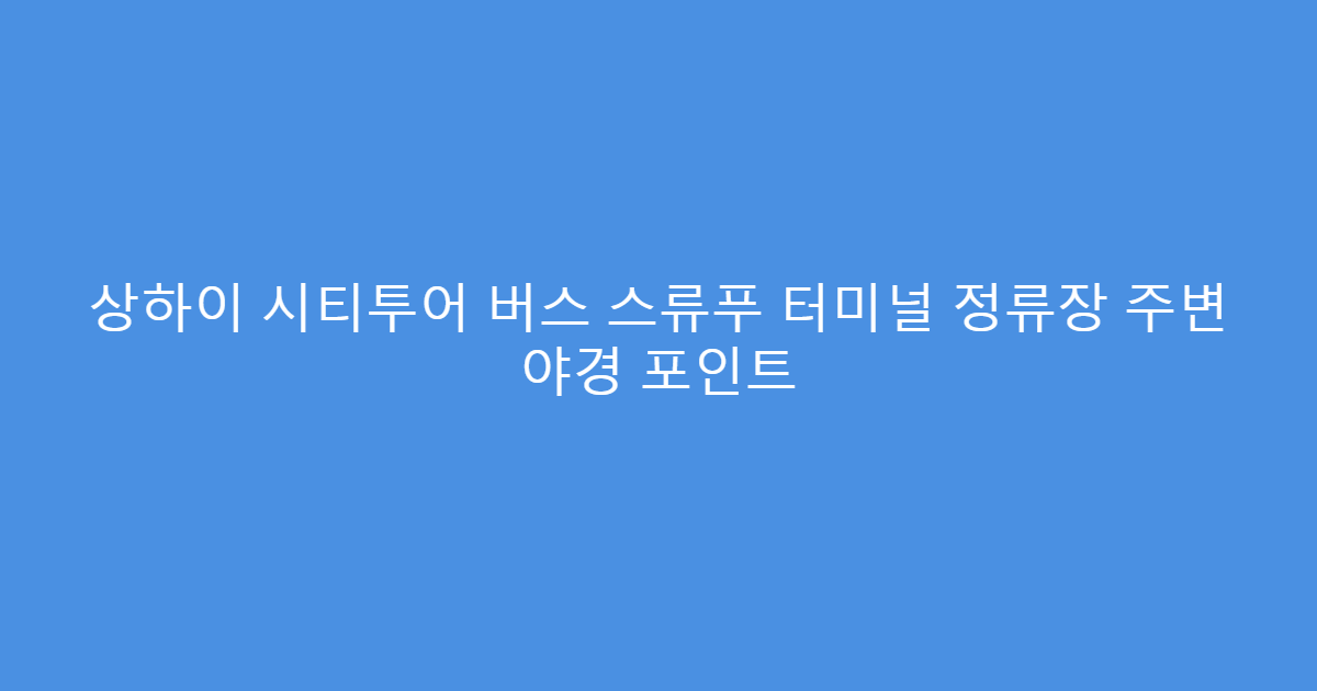 상하이 시티투어 버스 스류푸 터미널 정류장 주변 야경 포인트