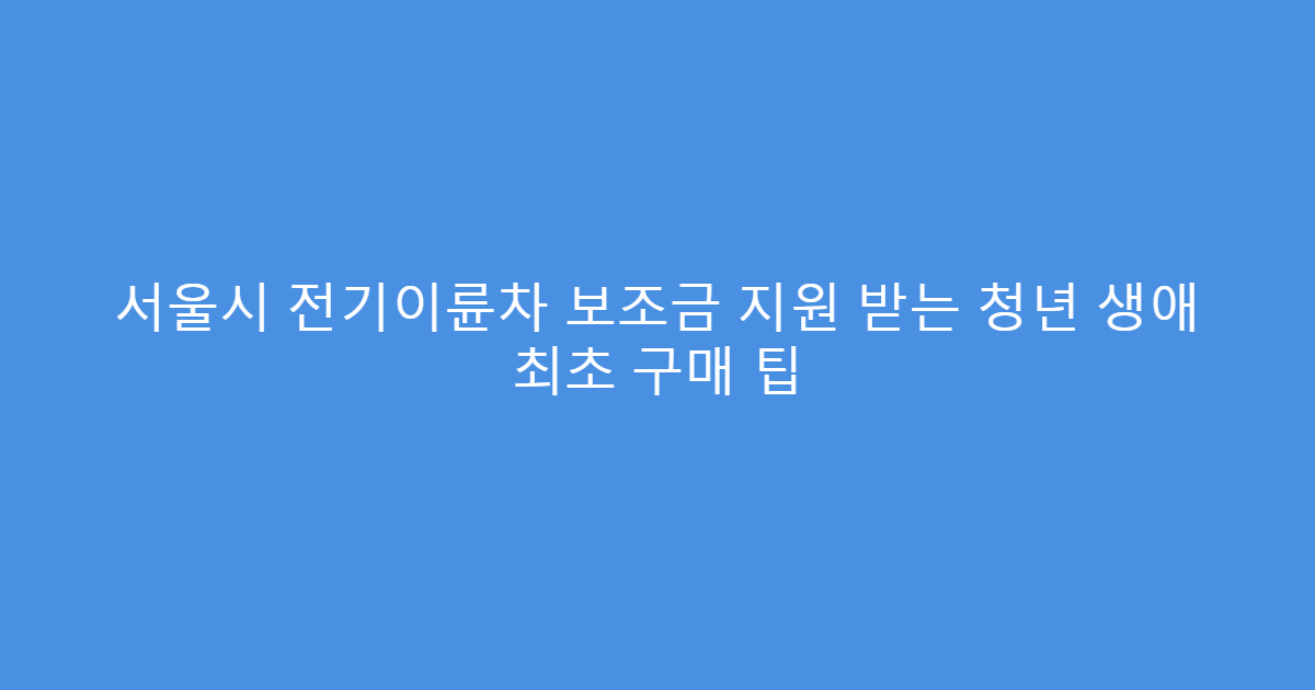 서울시 전기이륜차 보조금 지원 받는 청년 생애 최초 구매 팁