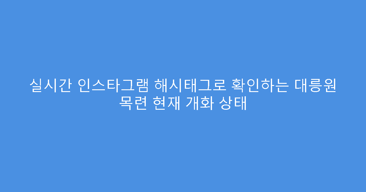 실시간 인스타그램 해시태그로 확인하는 대릉원 목련 현재 개화 상태