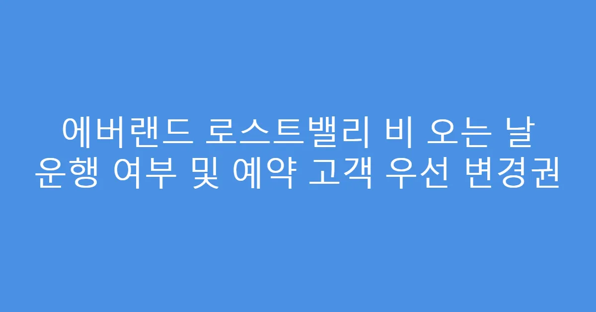 에버랜드 로스트밸리 비 오는 날 운행 여부 및 예약 고객 우선 변경권