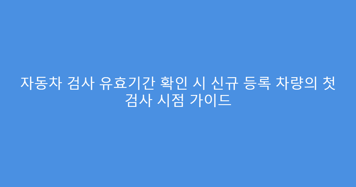 자동차 검사 유효기간 확인 시 신규 등록 차량의 첫 검사 시점 가이드