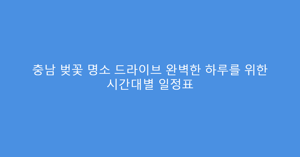 충남 벚꽃 명소 드라이브 완벽한 하루를 위한 시간대별 일정표