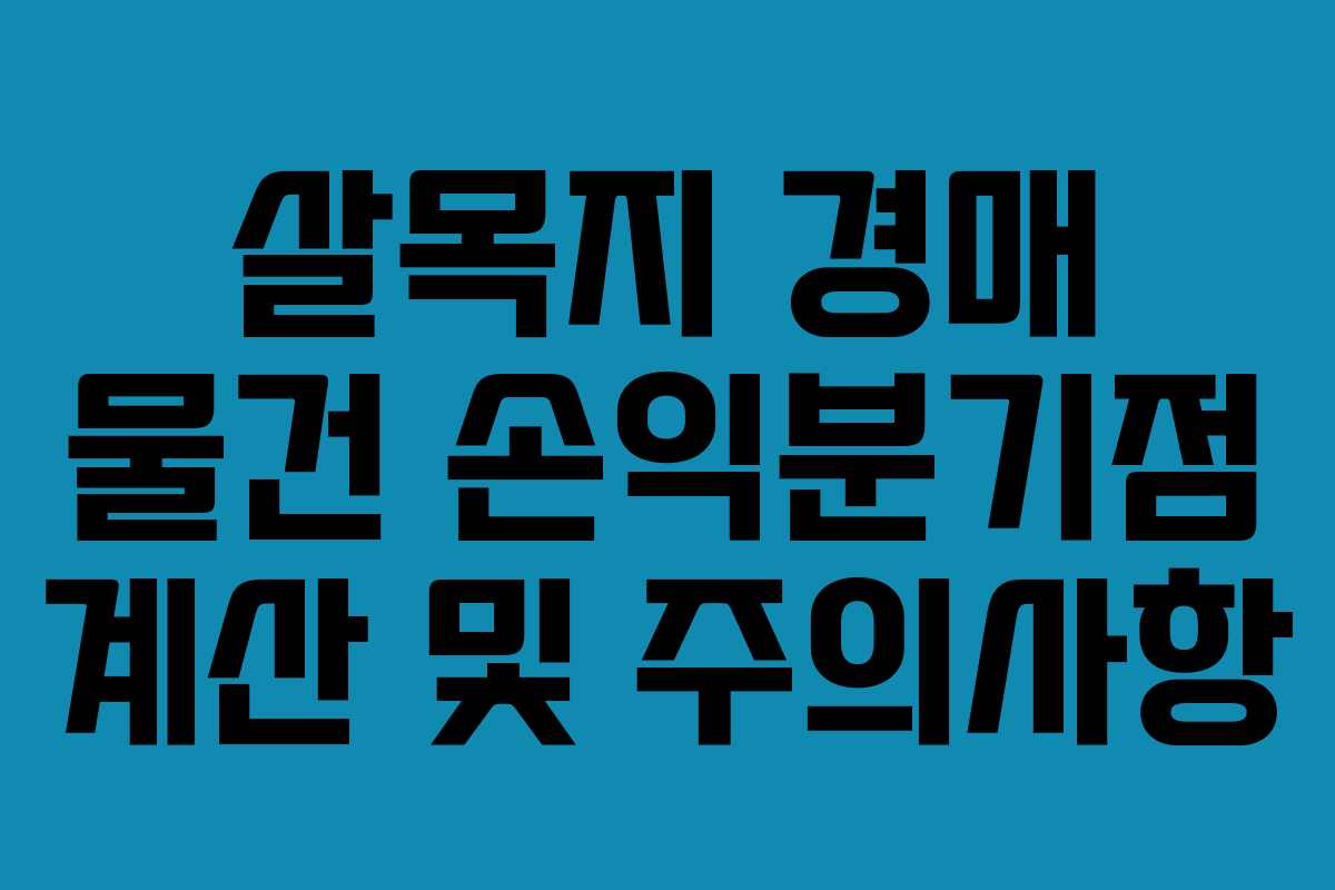 살목지 경매 물건 손익분기점 계산 및 주의사항