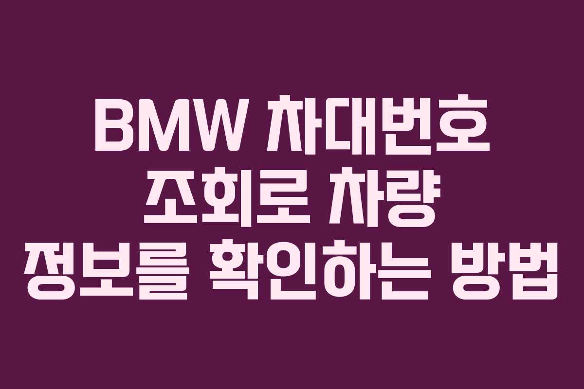BMW 차대번호 조회로 차량 정보를 확인하는 방법
