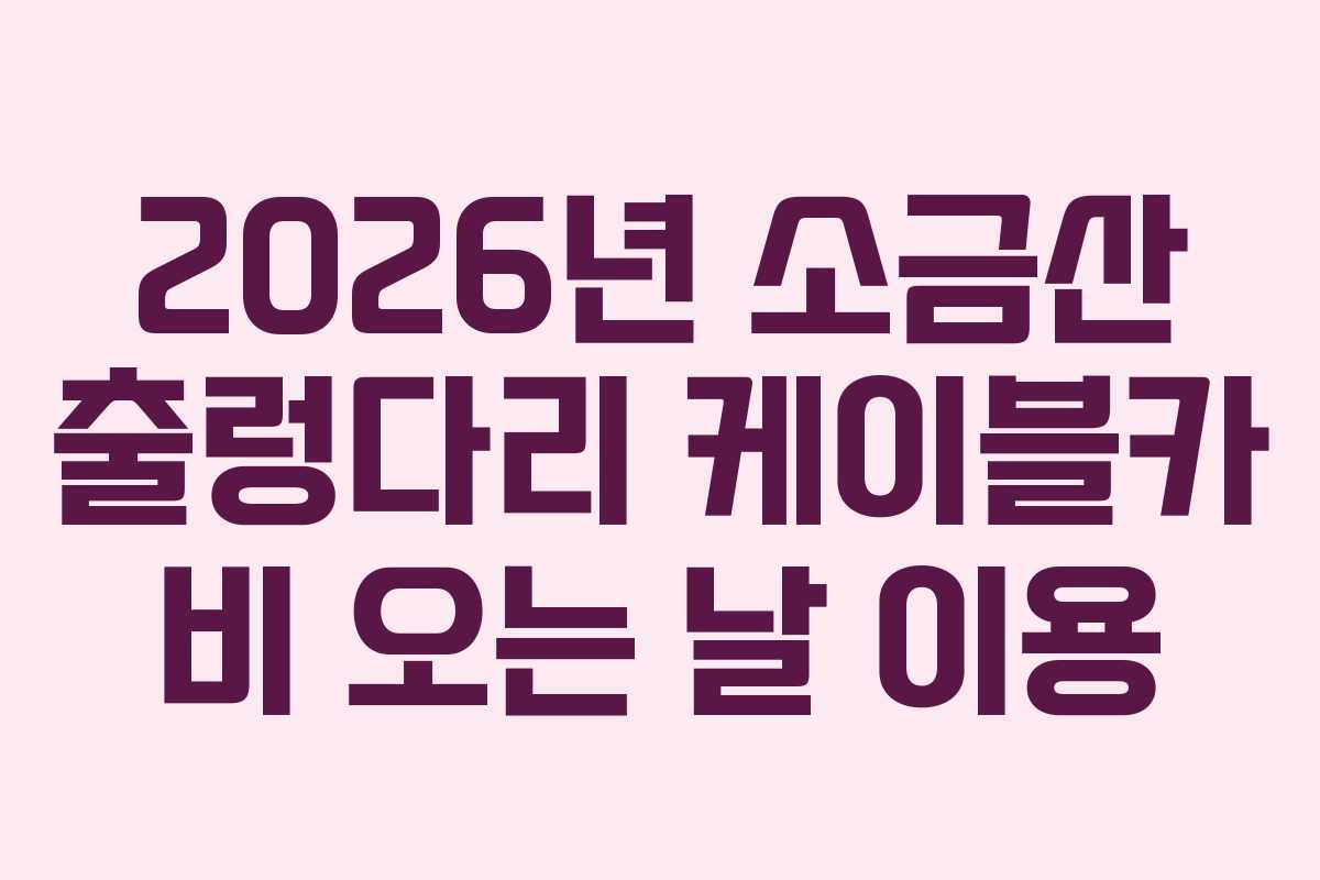 2026년 소금산 출렁다리 케이블카 비 오는 날 이용