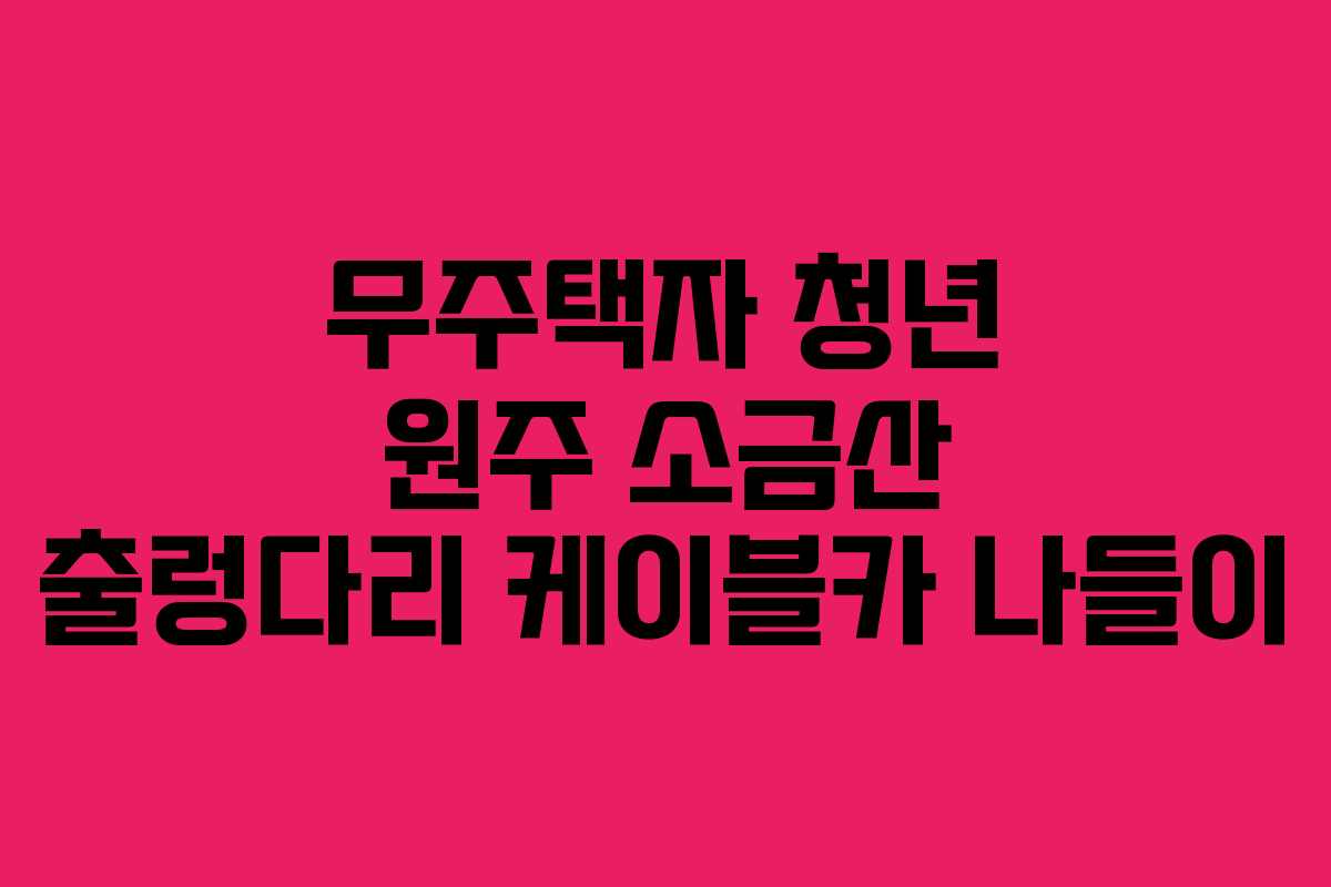 무주택자 청년 원주 소금산 출렁다리 케이블카 나들이