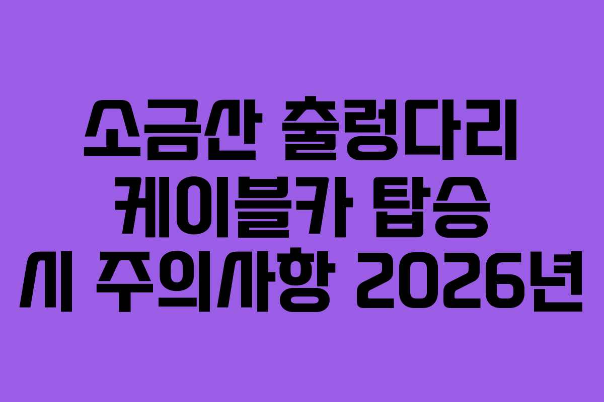소금산 출렁다리 케이블카 탑승 시 주의사항 2026년