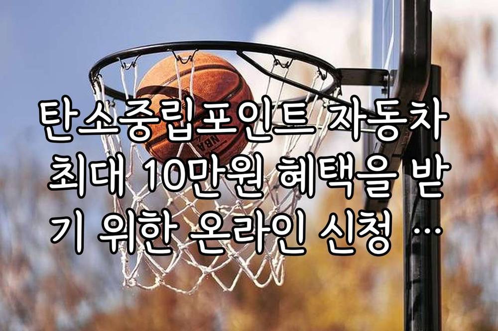 탄소중립포인트 자동차 최대 10만원 혜택을 받기 위한 온라인 신청 방법 안내