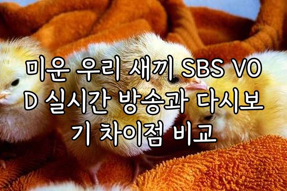 미운 우리 새끼 SBS VOD 실시간 방송과 다시보기 차이점 비교