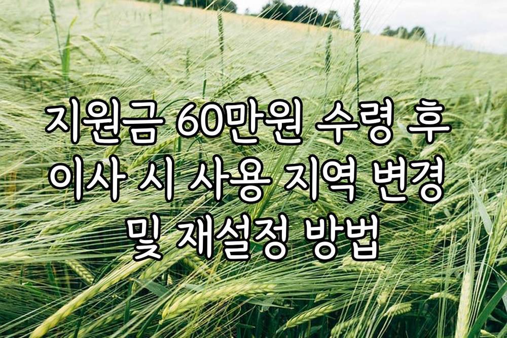 지원금 60만원 수령 후 이사 시 사용 지역 변경 및 재설정 방법