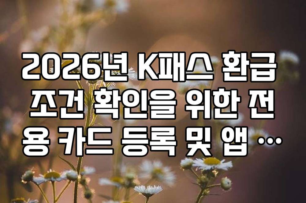 2026년 K패스 환급 조건 확인을 위한 전용 카드 등록 및 앱 연동 방법