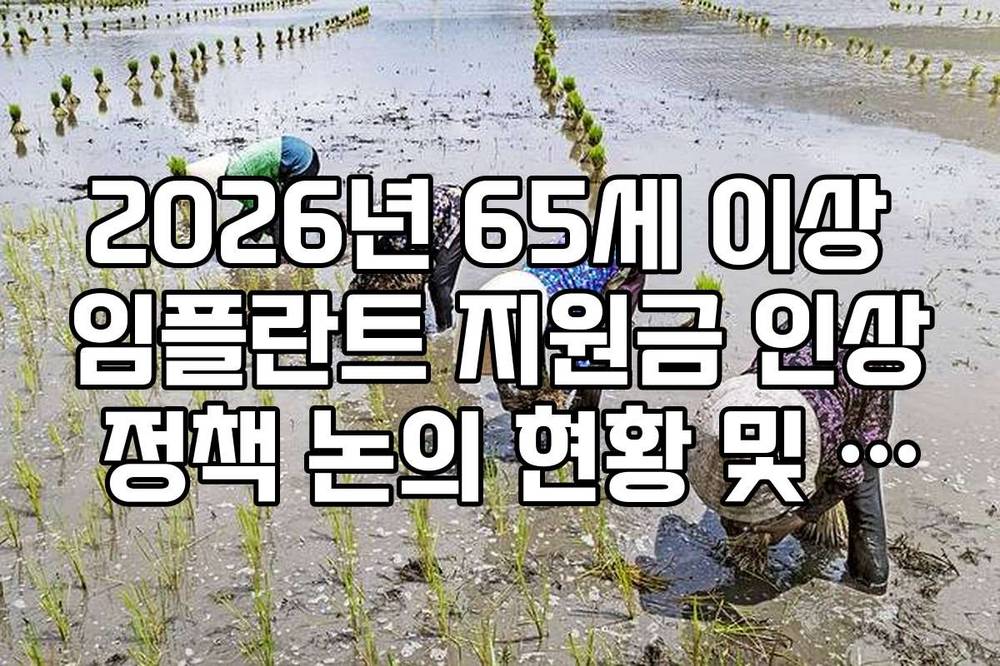 2026년 65세 이상 임플란트 지원금 인상 정책 논의 현황 및 전망
