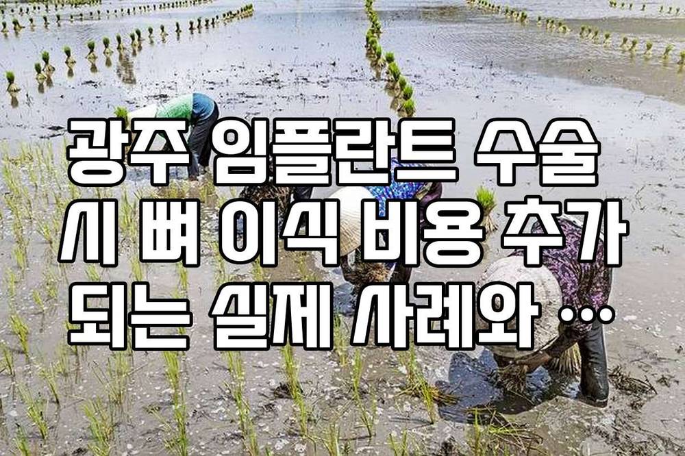 광주 임플란트 수술 시 뼈 이식 비용 추가되는 실제 사례와 가격