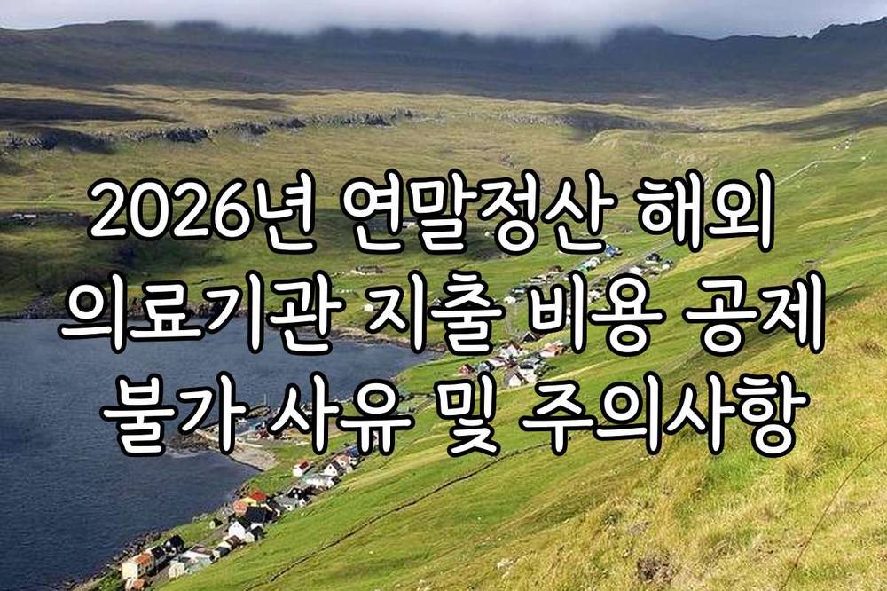 2026년 연말정산 해외 의료기관 지출 비용 공제 불가 사유 및 주의사항