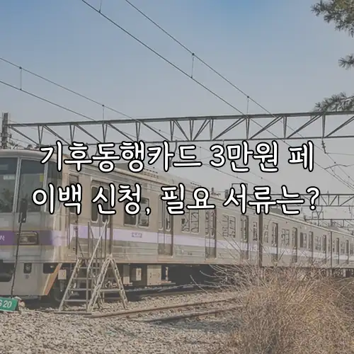 기후동행카드 3만원 페이백 신청, 필요 서류는?