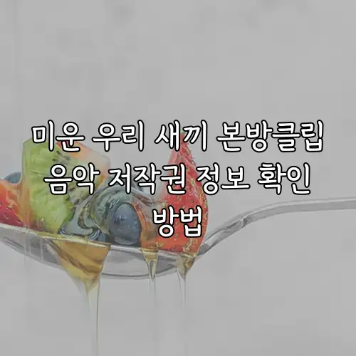 미운 우리 새끼 본방클립 음악 저작권 정보 확인 방법