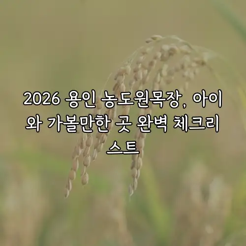 2026 용인 농도원목장, 아이와 가볼만한 곳 완벽 체크리스트
