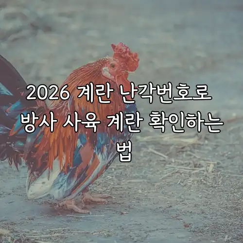 2026 계란 난각번호로 방사 사육 계란 확인하는 법