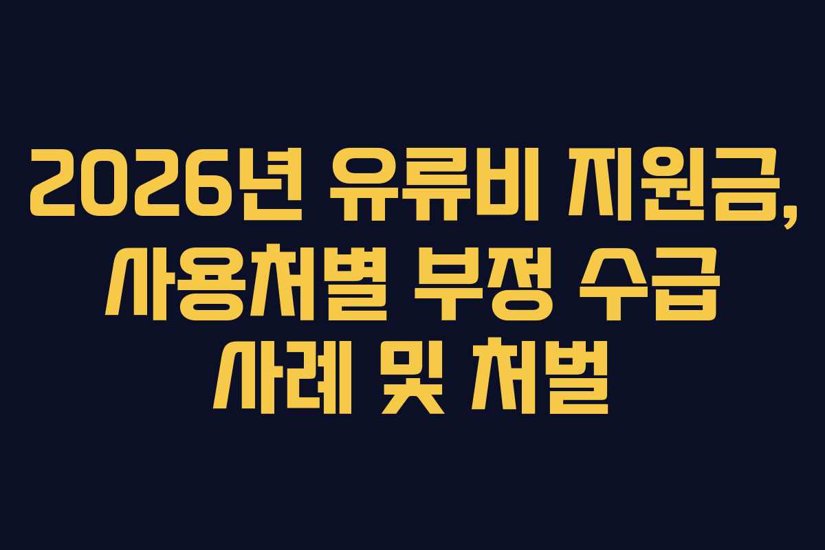 2026년 유류비 지원금, 사용처별 부정 수급 사례 및 처벌