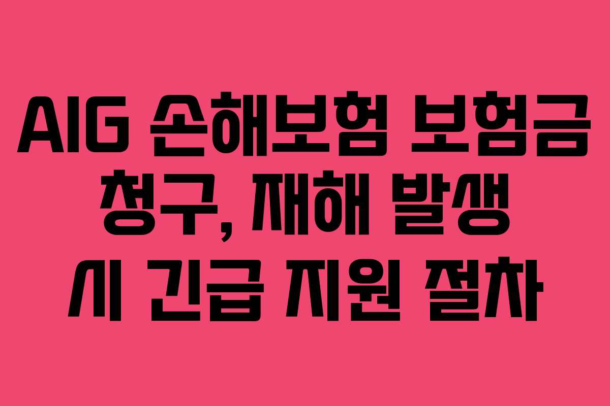 AIG 손해보험 보험금 청구, 재해 발생 시 긴급 지원 절차