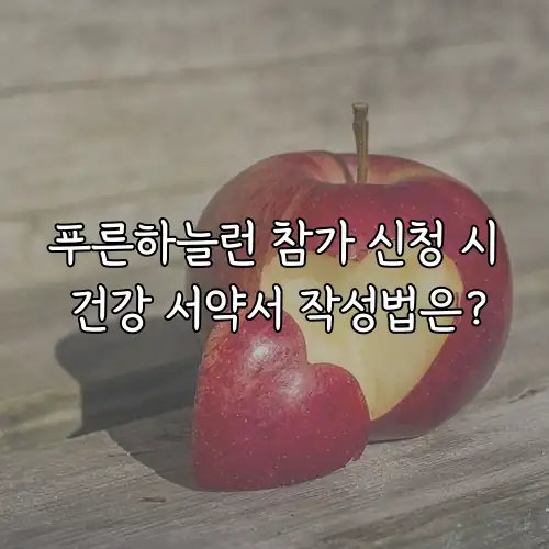푸른하늘런 참가 신청 시 건강 서약서 작성법은?