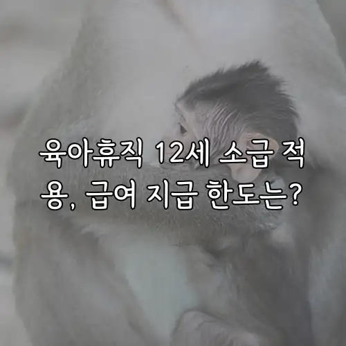 육아휴직 12세 소급 적용, 급여 지급 한도는?