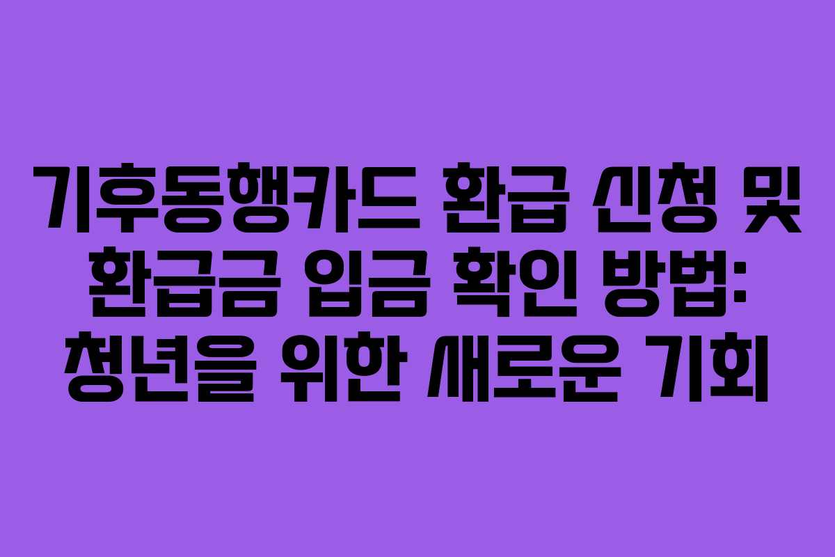 기후동행카드-환급-신청-및-환급금-입금-확인-방법-청년을-위한-새로운-기회