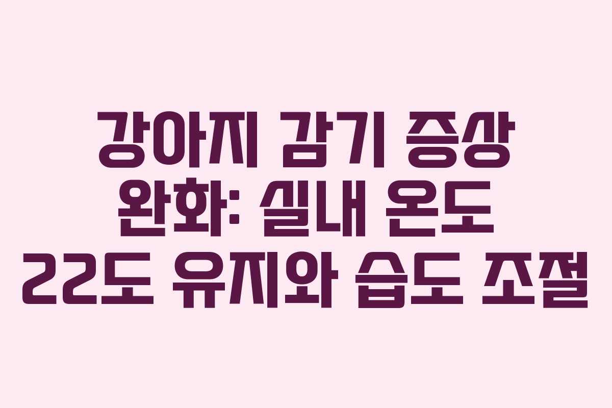 강아지-감기-증상-완화-실내-온도-22도-유지와-습도-조절